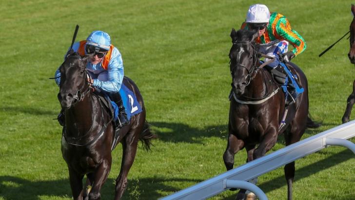 Horse racing at Carlisle